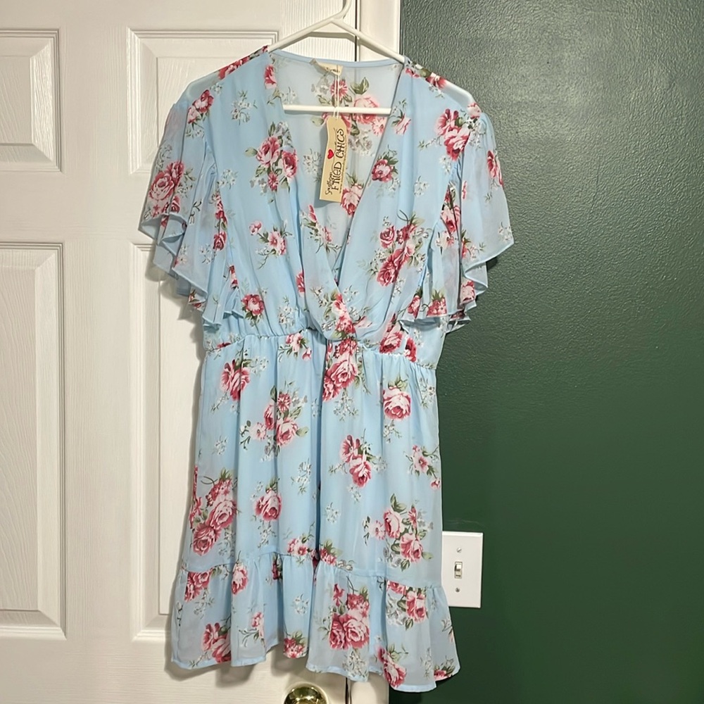 Southern Fried Chics Blue Floral Print Dress